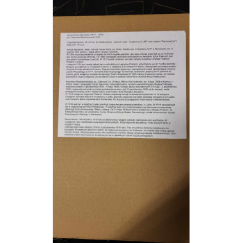 Litografia Karykatura 1915-16r Kazimierz Młodzianowski generał brygady Wojska Polskiego autor Henryk Hertz Barwiński Nr m188